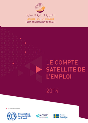 Compte satellite de l'emploi, 2014