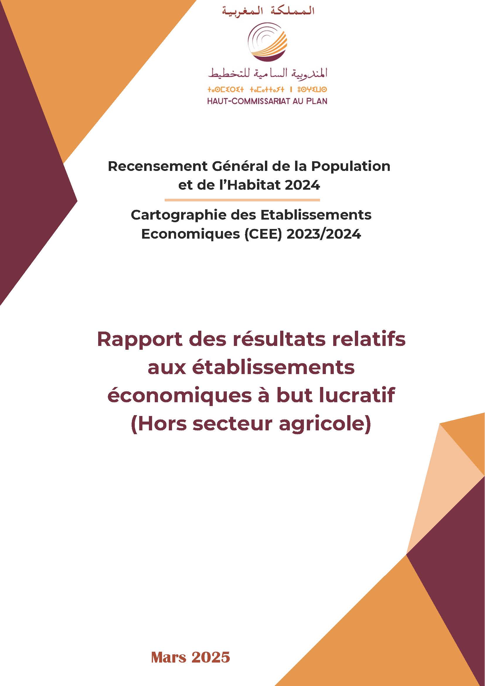 Cartographie des Établissements Économiques (CEE) 2023/2024 : Rapport des résultats relatifs aux établissements économiques à but lucratif (Hors secteur agricole), Mars 2025