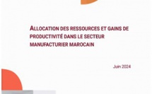 Allocation des ressources et gains de productivité dans le secteur manufacturier marocain