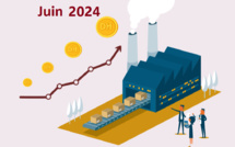 L’indice des prix à la production industrielle, énergétique et minière (IPPI) du mois de Juin 2024