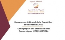 Cartographie des Établissements Économiques (CEE) 2023/2024 : Rapport des résultats relatifs aux établissements économiques à but lucratif (Hors secteur agricole), Mars 2025