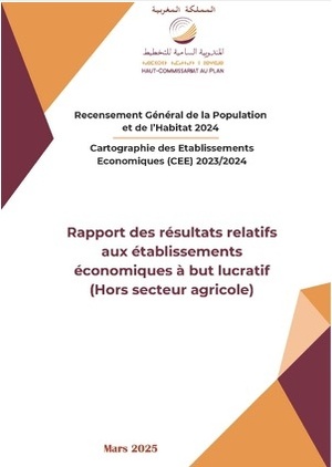 Cartographie des Établissements Économiques (CEE) 2023/2024 : Rapport des résultats relatifs aux établissements économiques à but lucratif (Hors secteur agricole), Mars 2025